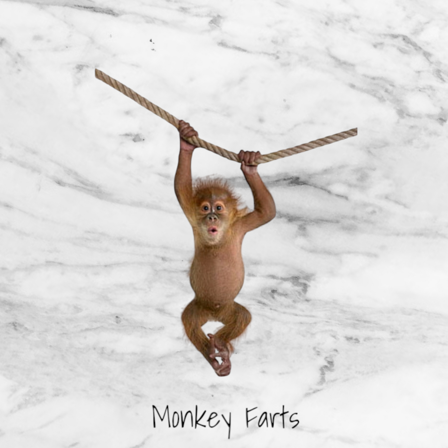 Monkey Farts Wax Melts