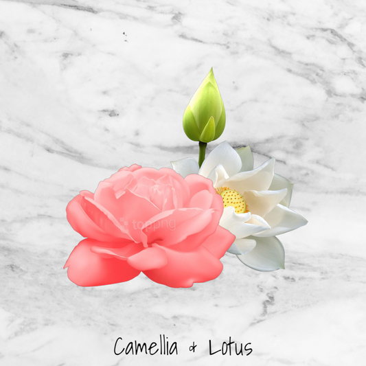 Camellia & Lotus Wax Melts