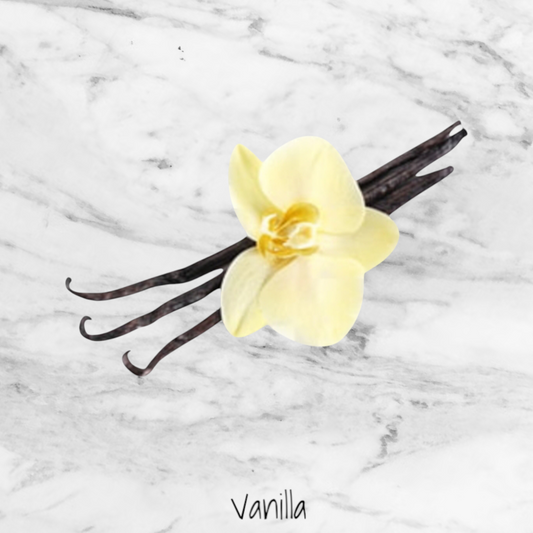 Vanilla Wax Melts