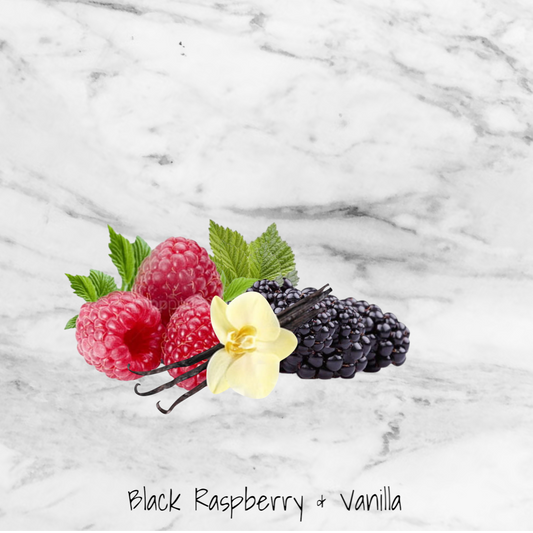 Black Raspberry & Vanilla Wax Melts