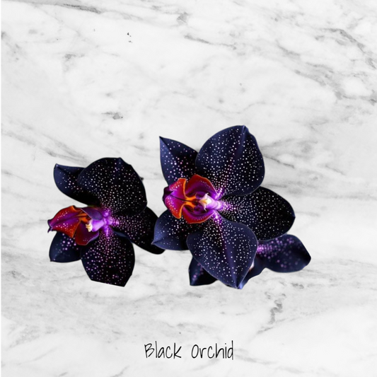 Black Orchid Wax Melts